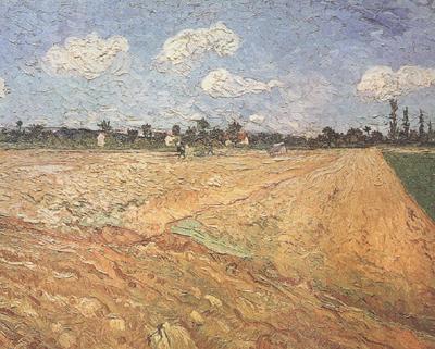 Vincent Van Gogh Ploughed Field (nn04) Norge oil painting art